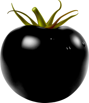 Blacktomato